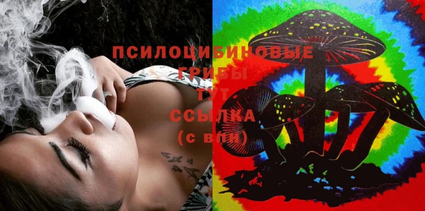 тгк Кулебаки