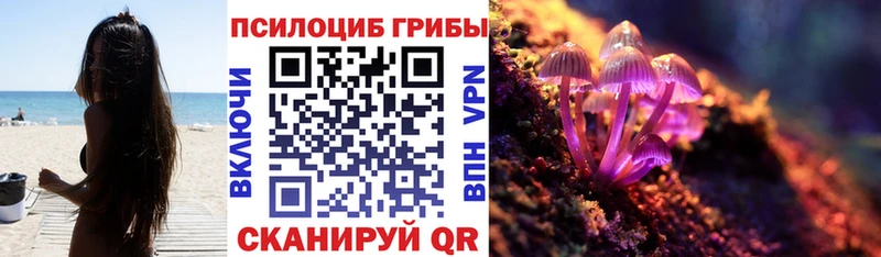Купить где  Лебедянь  Галлюциногенные грибы прущие грибы 
