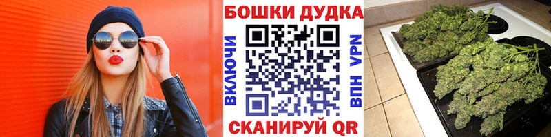 Бошки Шишки индика  Купить закладки  Лебедянь 
